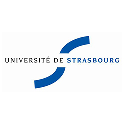Logo The University of Strasbourg